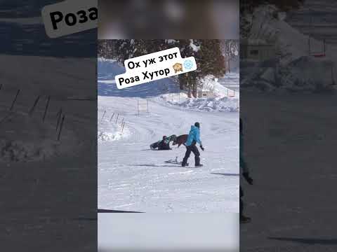 Кабан в Розе Хутор напал на лыжника 🙈 #животные #сочи #рек #новости