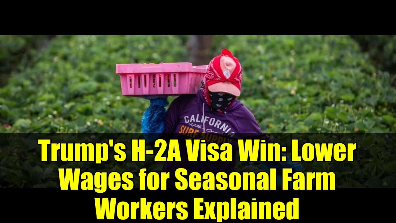Trump's H-2A Visa Win: Lower Wages for Seasonal Farm Workers Explained