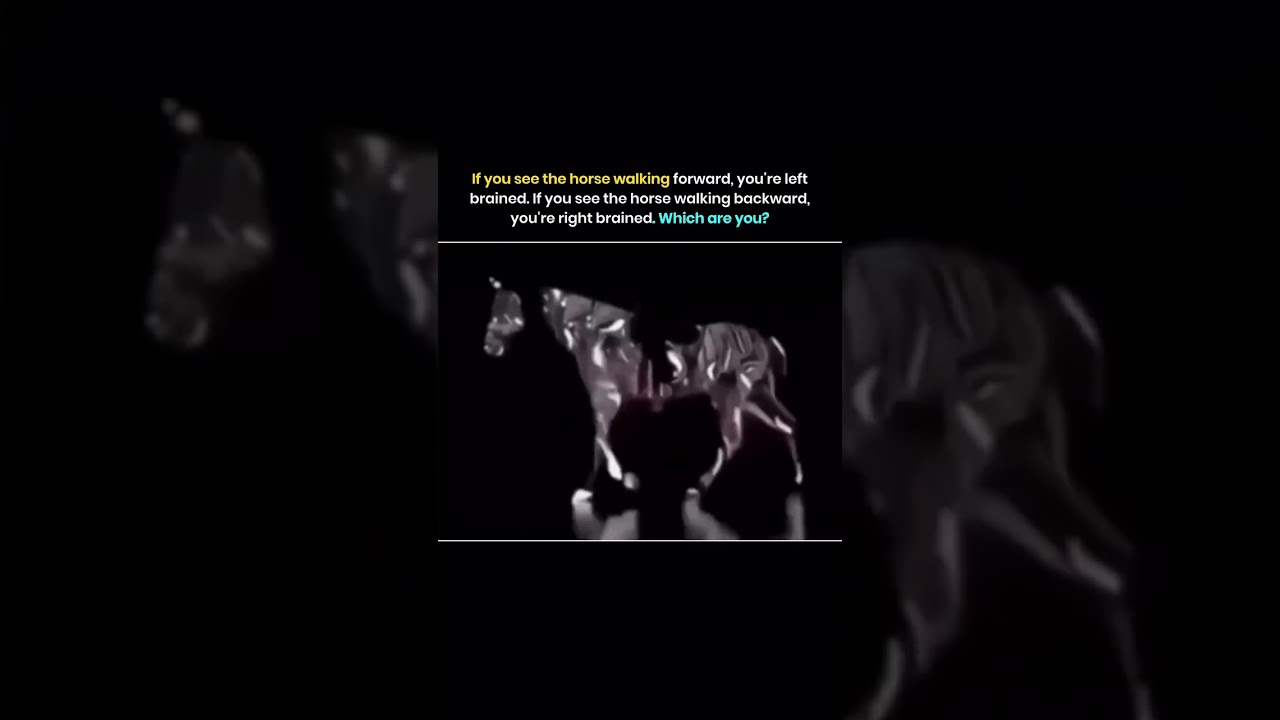 Watch Left Brain vs Right Brain Test 🧠 Which Way Is the Horse Moving? #ViralIllusion #PsychologyTest on YouTube Watch Left Brain vs Right Brain Test 🧠 Which Way Is the Horse Moving? #ViralIllusion #PsychologyTest on YouTube