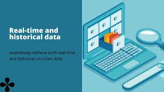 Celebrity introducing the syntropy data availability layer Net Worth
