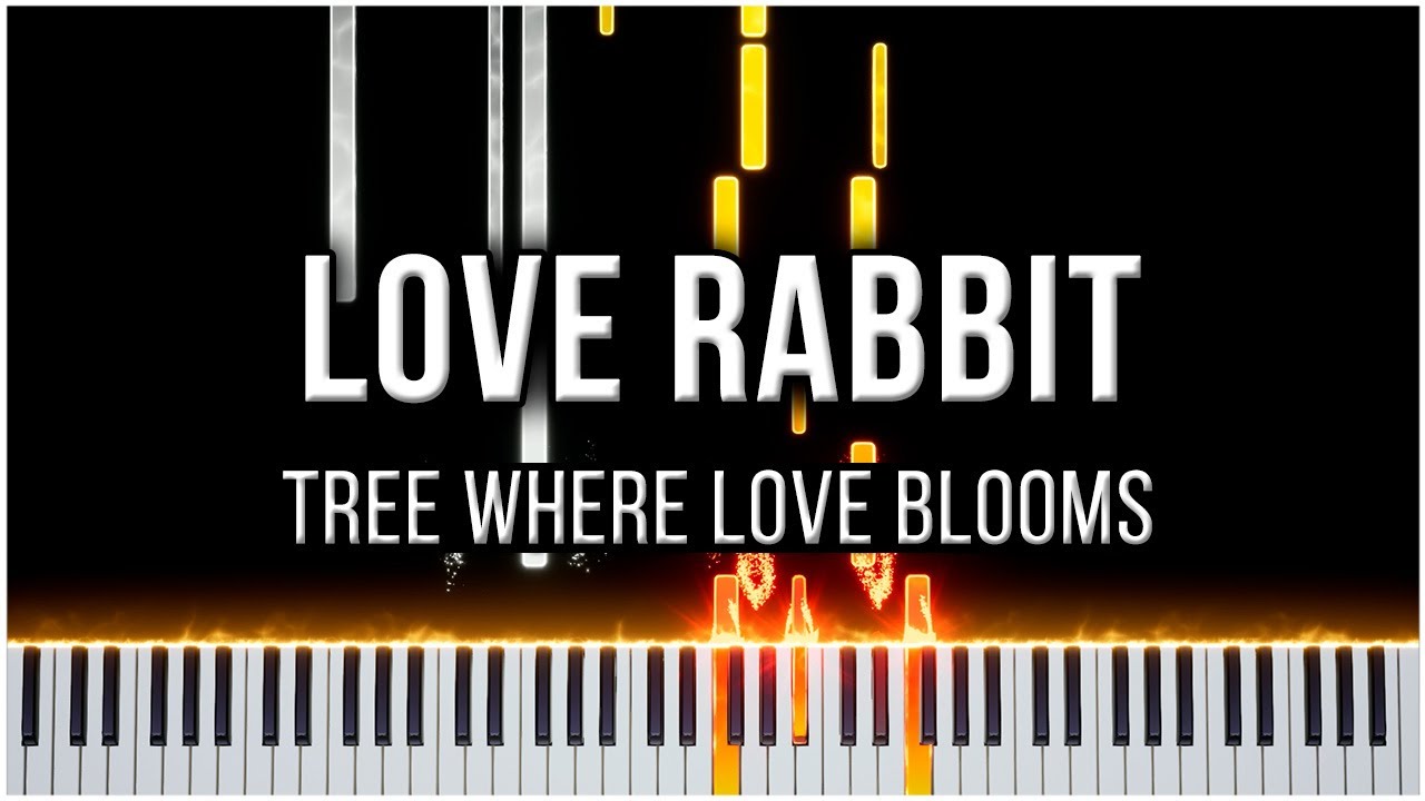 사랑이 꽃피는 나무 (Love Rabbit) 【 PIANO TUTORIAL 】 - YouTube