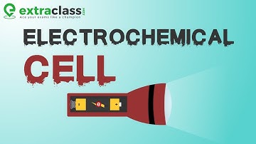 Electrochemical Cell Galvanic Cell | Extraclass.com