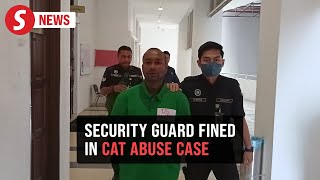 Security Guard Fined Rm40,000 For Cat Abuse