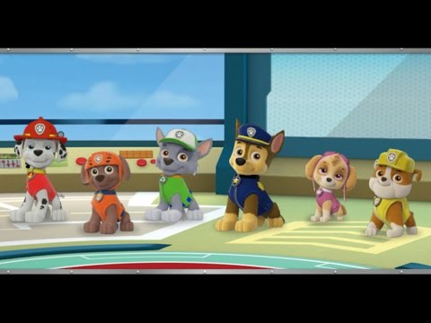 Paw Patrol Academy Game Paw Patrol Cartoon Nick JR English Paw Patrol ...