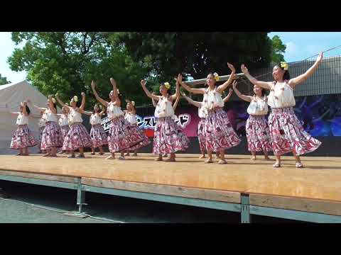 県立綾瀬高校フラダンス部 COCO'O』 DanceLegend（ダンスレジェンド