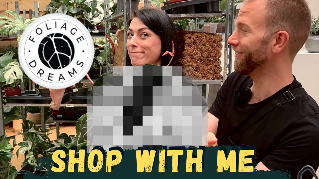 Welche Pflanzen haben wir gekauft? - Foliage Dreams Pop-up store Köln