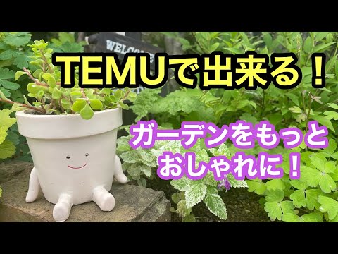【ガーデン雑貨】今話題の激安通販サイトTEMUでガーデン雑貨を購入してみたらおすすめアイテム満載でした。#ガーデニング #gardening #temu hqdefault