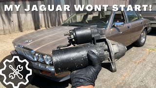 Jaguar Wont Start: Jaguar XJ6 XJ40 Starter Replacement