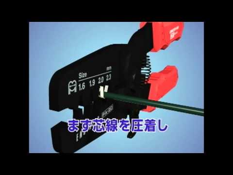 動画