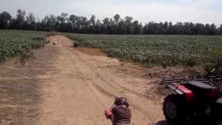 .17HMR shooting @ 300 yards