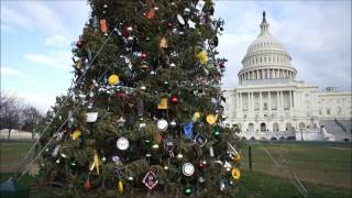 US Capitol Christmas Tree 2011