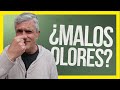 🚾 Cómo QUITAR Malos OLORES del Baño | 👌 SOLUCIONES a los Olores Desagradables en la Casa