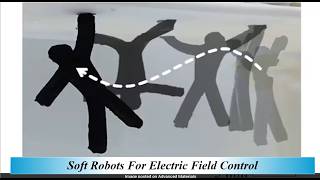 Soft Robots For Electric Field Control screenshot 4