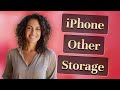 Why Doesn’t iPhone ‘Other’ Storage Shrink After Cleanup?
