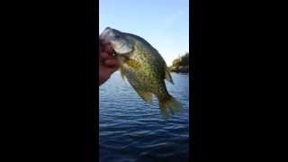 Philadelphia Crappie fishing.