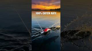 The Non-Slip Loop Knot Nobody Teaches #fishingknot #diy