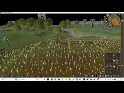 RUNESCAPE oldschool