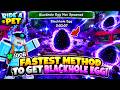 FASTEST METHOD To GET BLACKHOLE EGG in Ride A Pet FASTEST METHOD To GET BLACKHOLE EGG in Ride A Pet