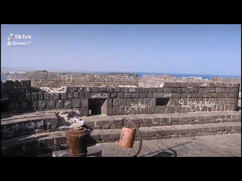 قال ابو لحمدي لا متت يا اصحاب يافع