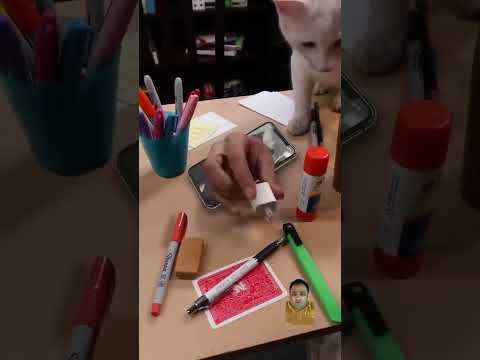 Random magic vines