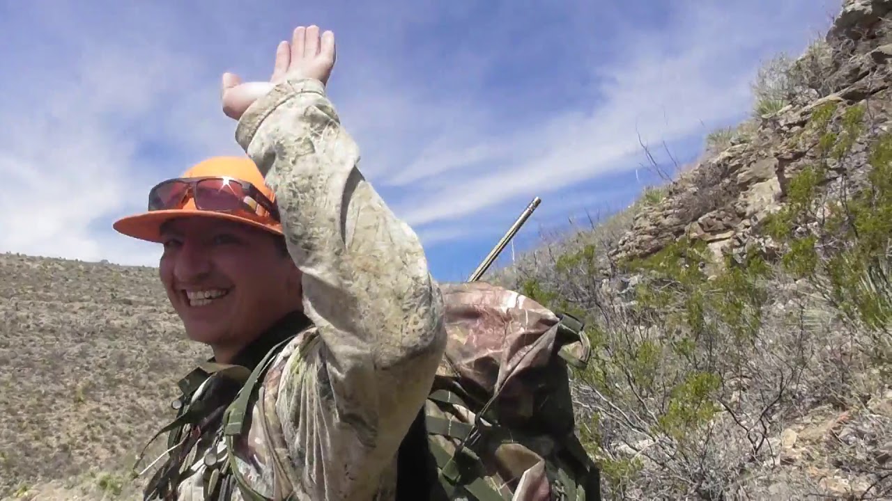 barbary sheep hunt nm public lands 2019 YouTube