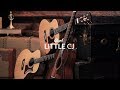 Електро-акустична гітара CORT Little CJ Blackwood (Open Pore Light Burst)