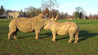 Sample Video Footage From Sony Dsc-Hx90