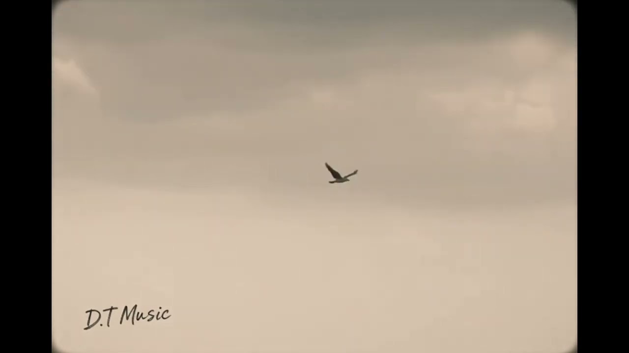 Bay Qua Một Ðời 