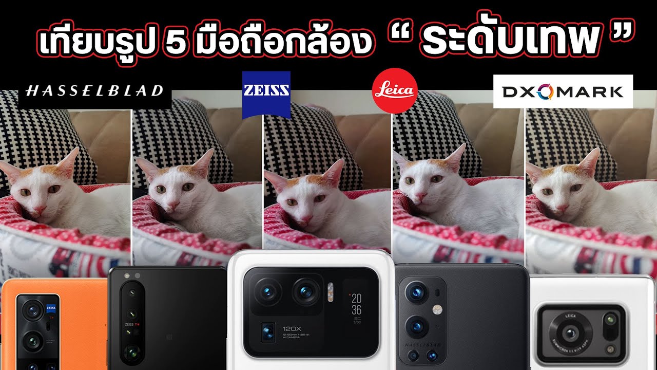มือถือที่ถ่ายรูปสวยที่สุด 2022 New เทียบรูป 5 มือถือกล้องเทพ Xperia 1 III , OnePlus 9 Pro , Aquos R6 , Mi 11 Ultra และ Vivo X60T Pro+