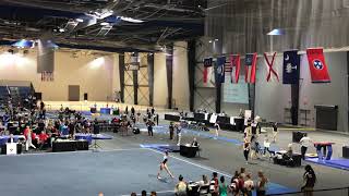 Bailey Upton 2019 Level 9 Regional Floor 8.725