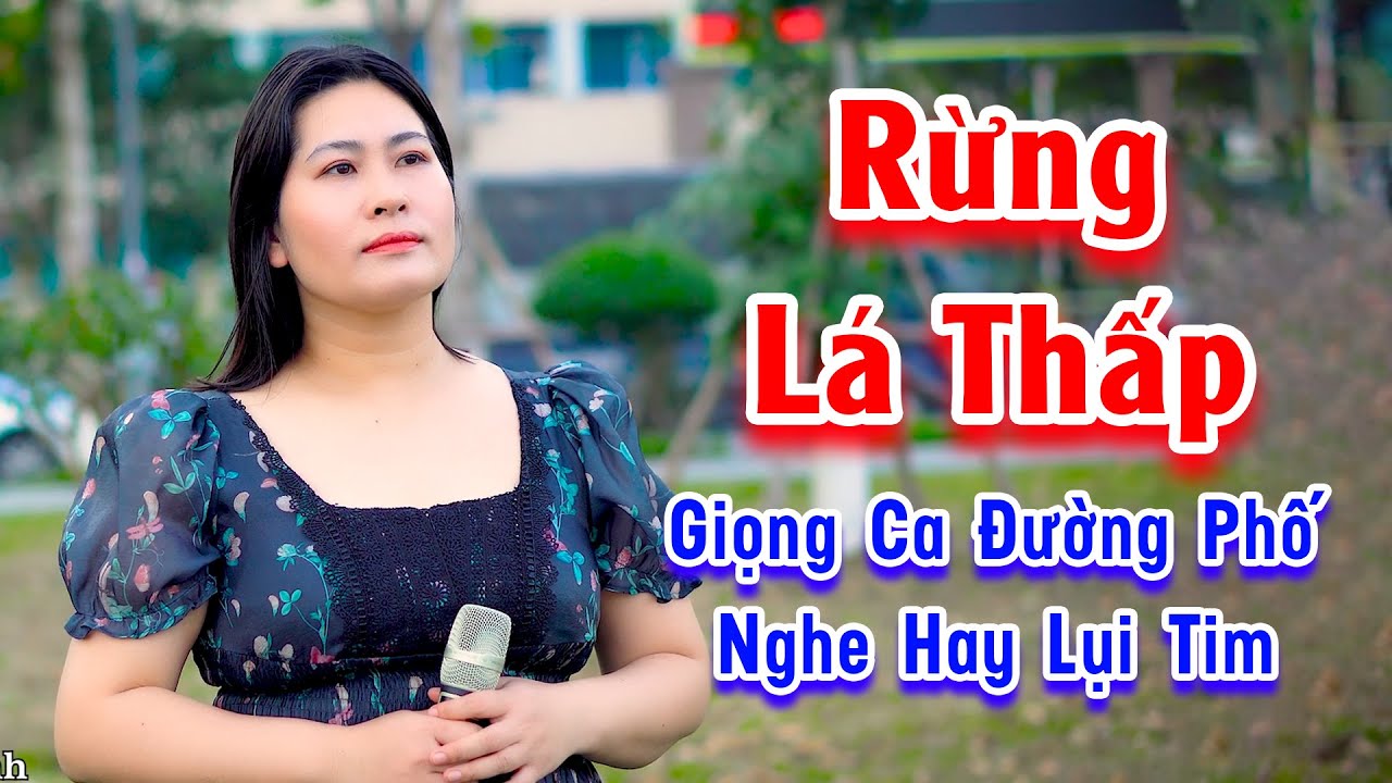 Rừng Lá Thấp - Giọng Ca Ngọt Ngào Nghe Hay Lụi Tim - Lệ Thủy