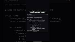 Building a Custom Command and Control Server with Python