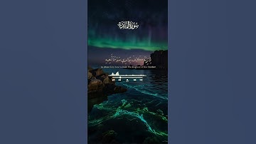 الشيخ الفاضل سيد سعيد سورة المائدة آية ٣١