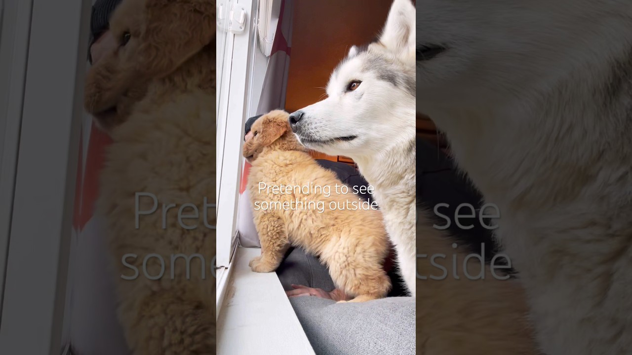 Sometime I forget just how stunning you truly were. Love you and miss you buddy ❤️