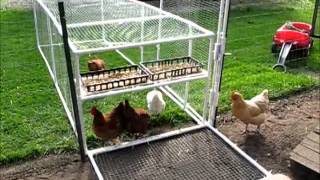 Chicken Tractor