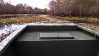 IMG 0322