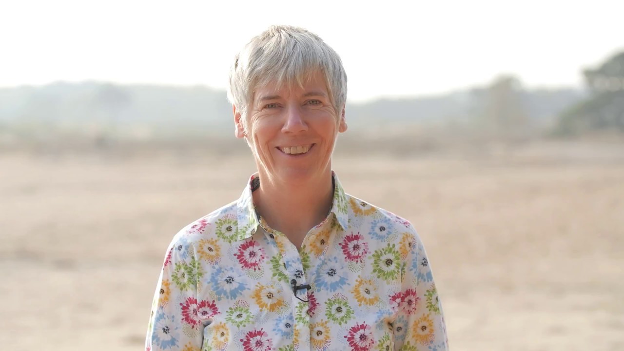 Friendly Eyes - Improve your mindset through kindness