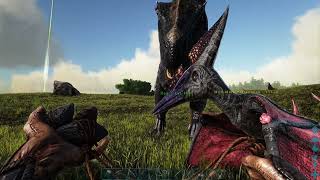 End of Week One : Surviving The Island ‼️‼️ #arksurvivalevolved