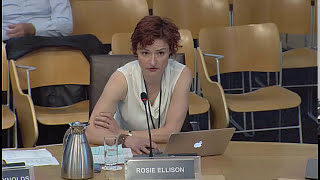 Culture, Tourism, Europe and External Relations Committee - 1 June 2017