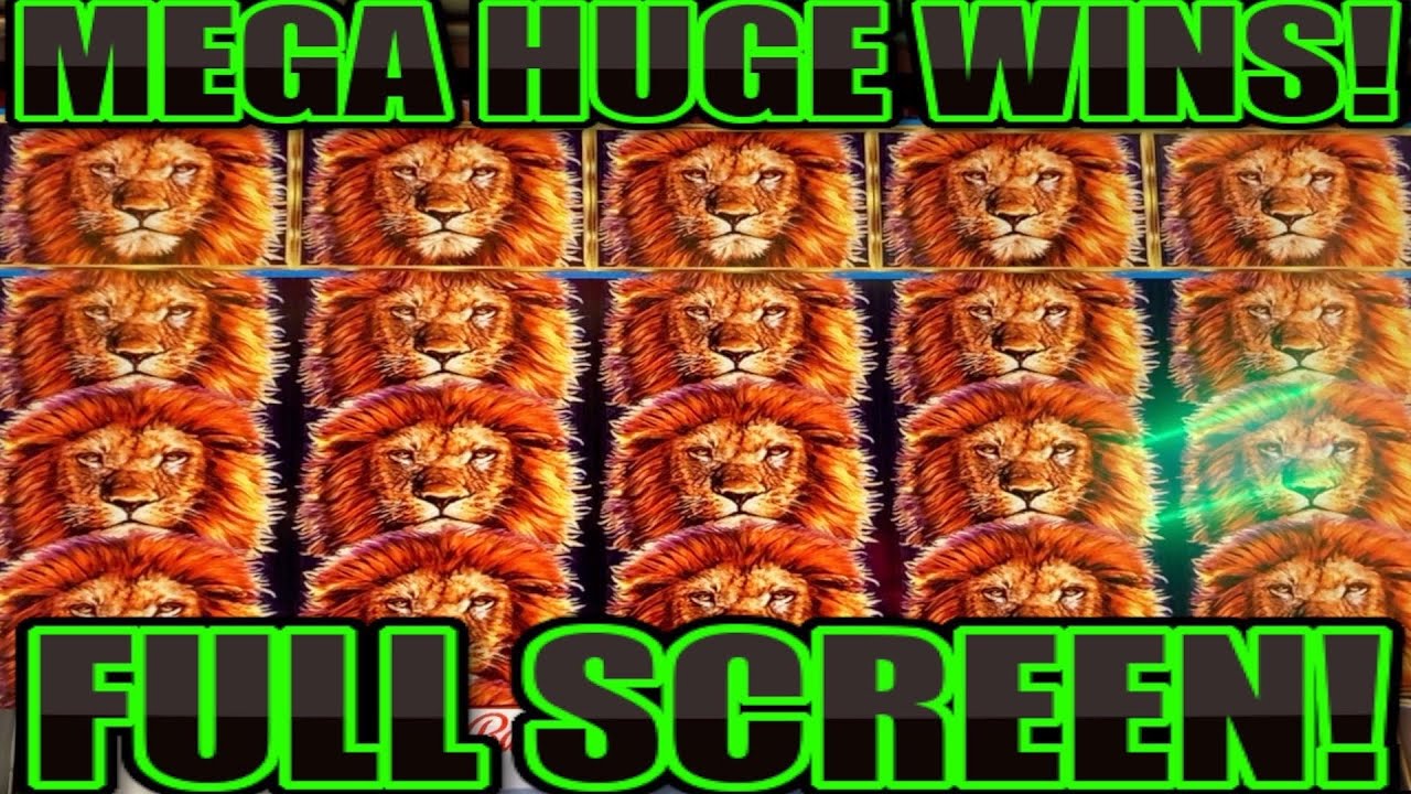 **MUST SEE!** HUGE WINS! FULL SCREEN! King of Africa Slot Machine Bonus