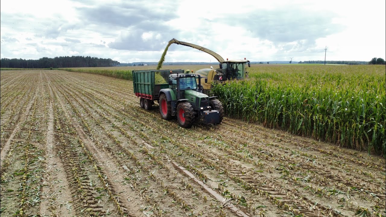 Kiszonka z kukurydzy 2025 🌽 - Krone , Fendt, John deere, New Holland, Massey ferguson, Ursus, 