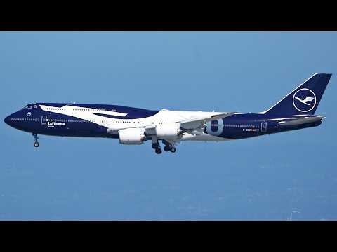 Lufthansa 100 Year Anniversay Boeing 747-8 D-ABYN Landing at San Francisco Airport