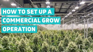 How to Set Up a Commercial Grow Operation | Surna Cultivation Technologies