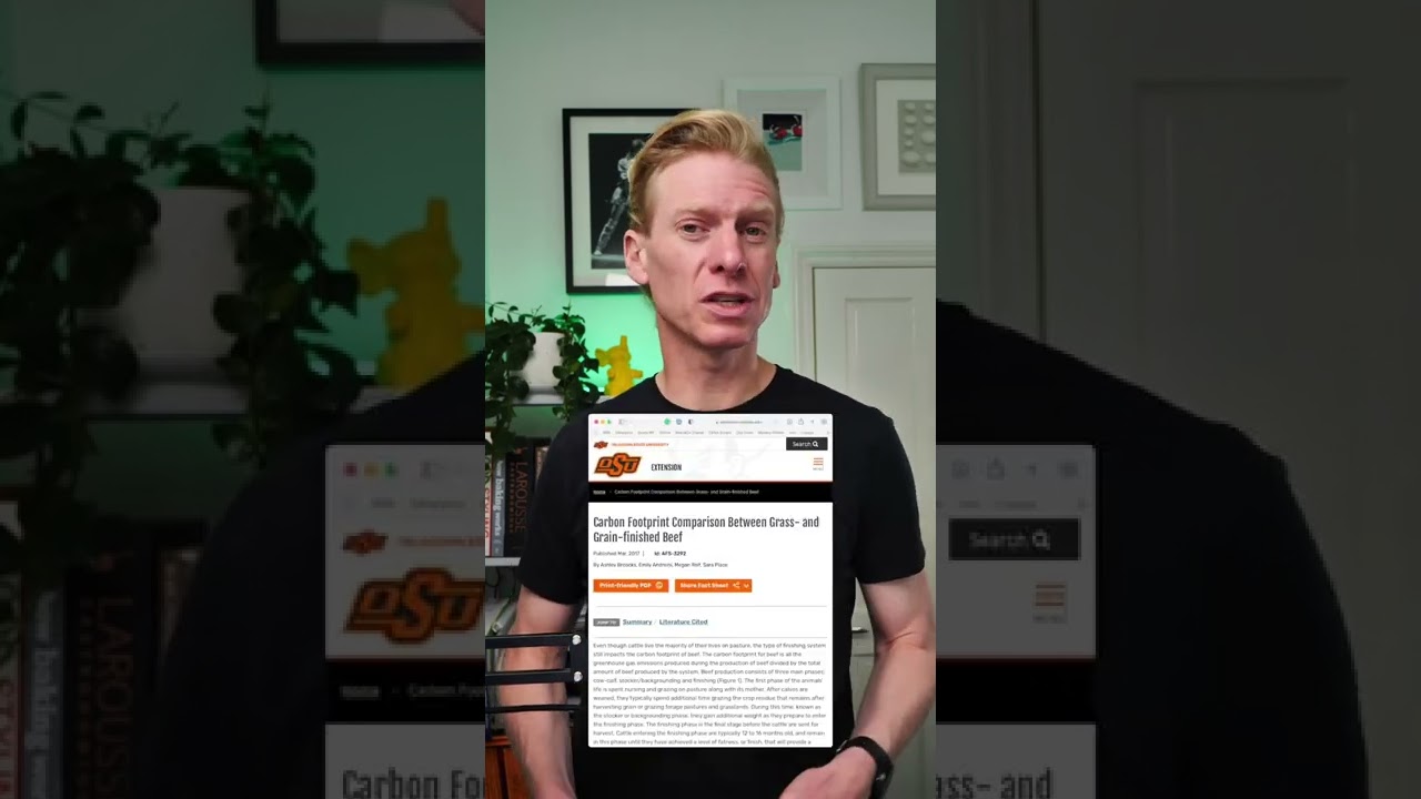 Why the US uses hormones with beef production