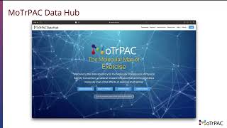The MoTrPAC Data Hub