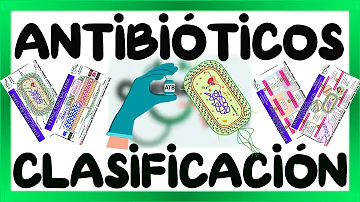 ¿Cuáles son los 4 tipos de antibióticos?