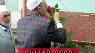 Her Gelene Sevgi Saçar