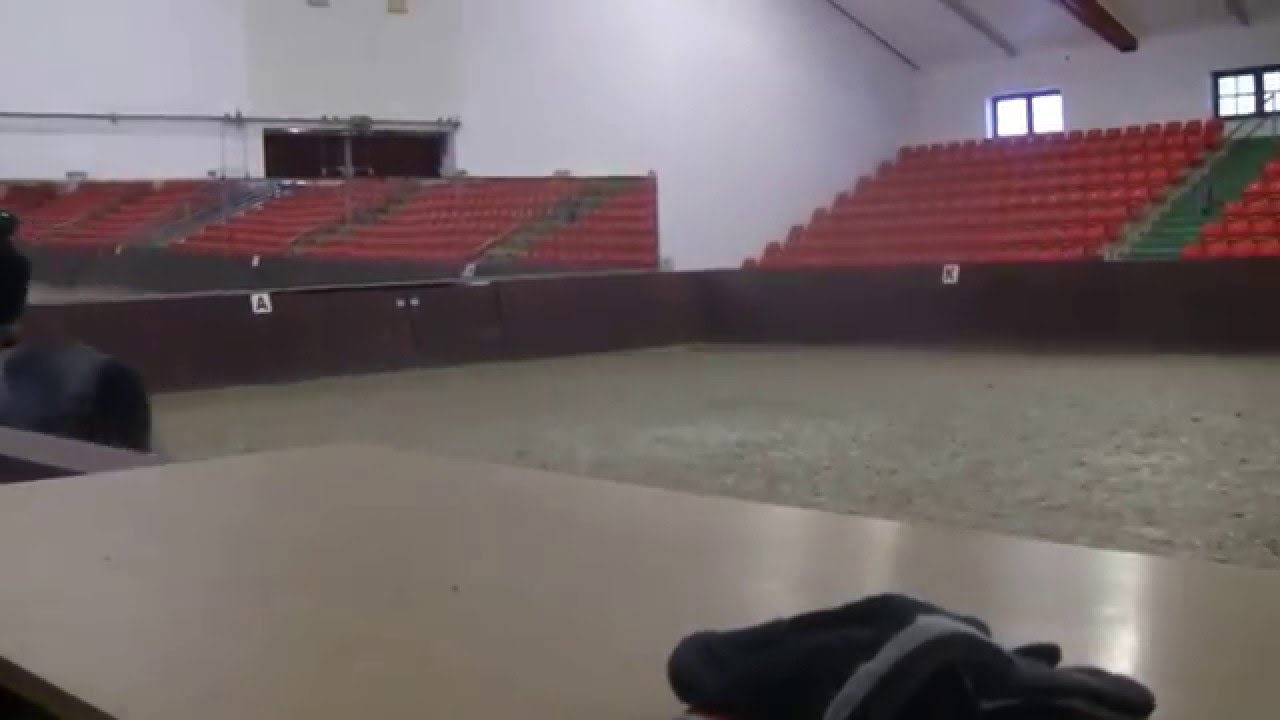 Alizé  Training in Redefin Januar 2016