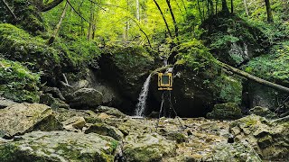 Exploring the Canyon with 4x5 Intrepid Camera | Large Format Landscape Photography on Glass Dryplate