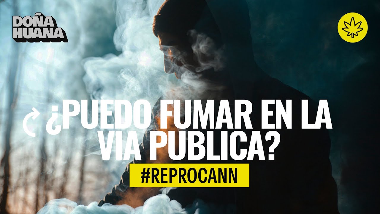 REPROCANN -¿Puedo fumar porro en la calle?-¿Me lo pueden desaprobar?-No aparece en MI ARGENTINA